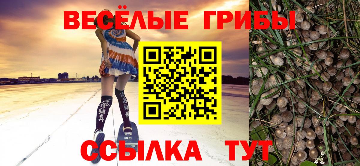 Галлюциногенные грибы Psilocybine cubensis  Вход с VPN  продажа наркотиков  Галлюциногенные грибы GOLDEN TEACHER  Родники 