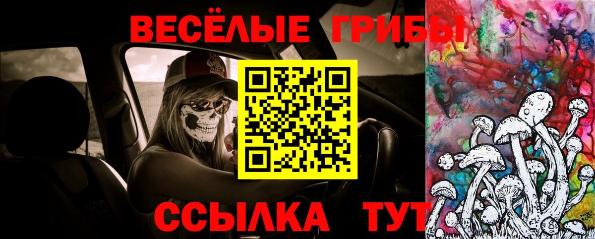 Псилоцибиновые грибы мицелий Родники